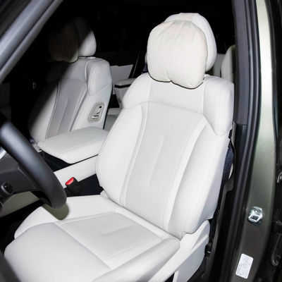 2024 Hybrid Car Polestones 01 6 Seater SUV Electric Car EV Auto Braking System Ji Shi ROX electric hybrid car