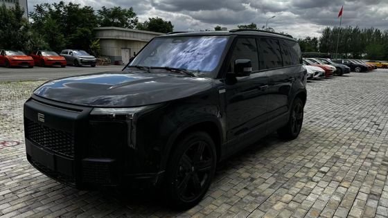 Polar Stone 01 2023model 6 Seats Version AWD with Black Exterior Color