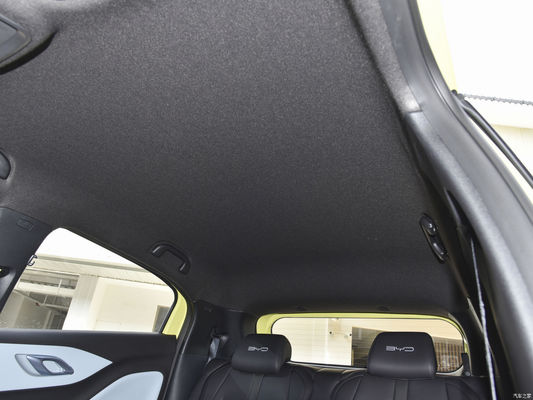 Car Electric Vehicle EV Byd Seagull 2023 Vitality Version with Customized Request
