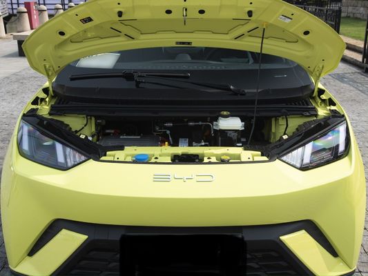 Electric Fuel Type Customization 2023 Byd Sea Gull 405 Km Modern Auto Energy Vehicle