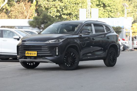 Customized Request 2023 Exeed 300t 2WD Exeed with Closed Body Type and Customization