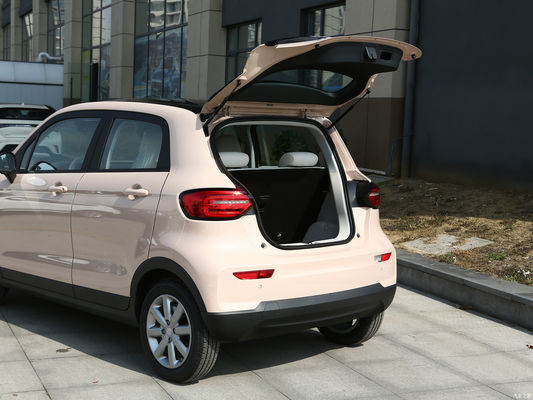Car Microcar EV Leap T03 403 Qingxiang 2023 4 Seats Online/Local After-sales Service