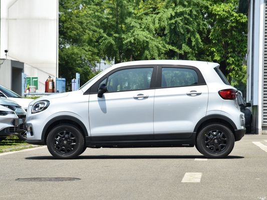 Electric Vehicle EV Leap T03 2023 310 Qingxiang Microcar Car After-sales Service Local