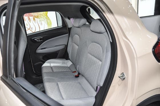 Closed Body Type and Seats for 5 2022 Leapmotor T03 Amber Edition