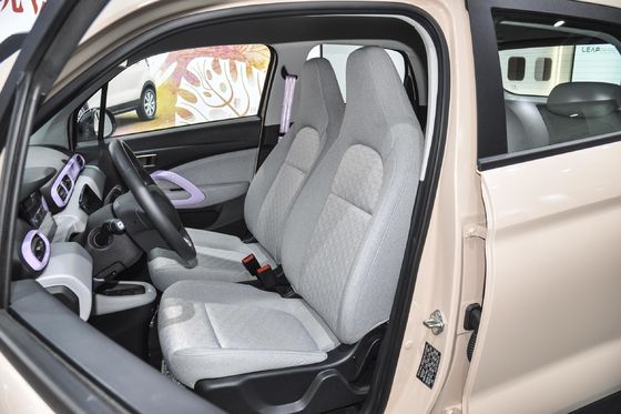 Closed Body Type and Seats for 5 2022 Leapmotor T03 Amber Edition