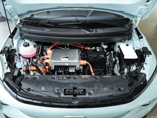Energy Type Pure Electric Geometry E-320km Happy Tiger EV SUV EPB Braking System 2023