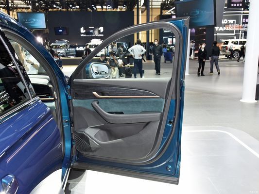 Gasoline 2.0td Power Four-Wheel Drive SUV with Customization and Customized Request