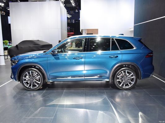 Gasoline 2.0td Power Four-Wheel Drive SUV with Customization and Customized Request