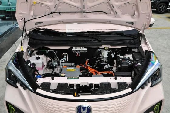 Electric Car with Fuel Type Electric Changan E-Star Benben Inr