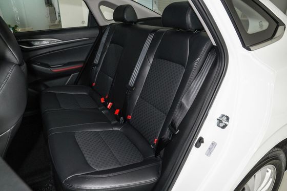 Changan Eado Energy 2022 EV460 Edition Lithium Iron Phosphate LiFePO4 Battery Edition