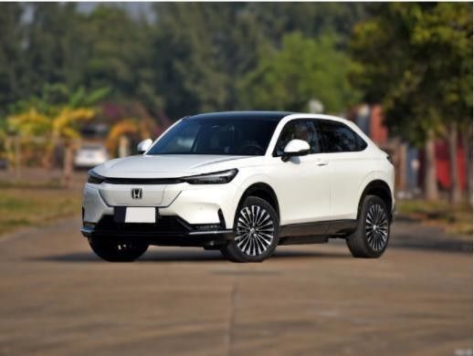 2022 Energy Vehicles E Ns1 E-Jing Version High Speed and Online/Local After-sales Service