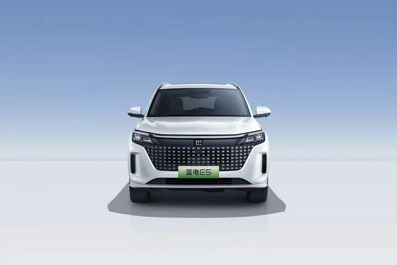 Landian E5 2024 Honor Edition 100km Automatic Luxury 5-Seater with Online Service