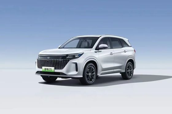 Landian E5 2024 Honor Edition 100km Automatic Luxury 5-Seater with Online Service