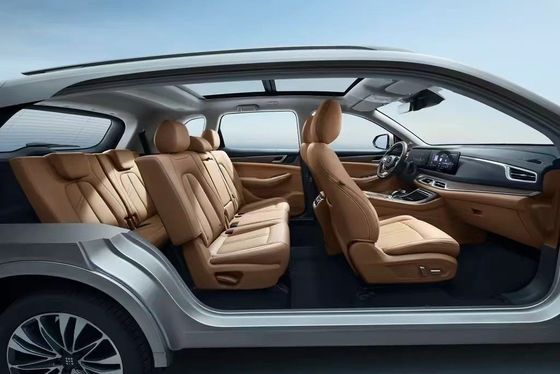 Landian E5 2024 Honor Edition 100km Automatic Luxury 5-Seater with Online Service