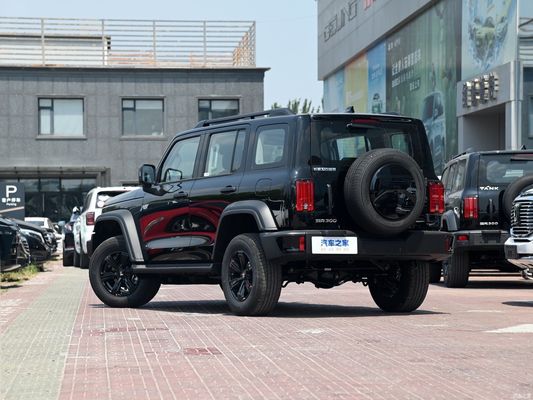 2024 Model Gwm Tank 300 2.0t Conqueror off-Road Fuel Car Customized for Rugged Terrain