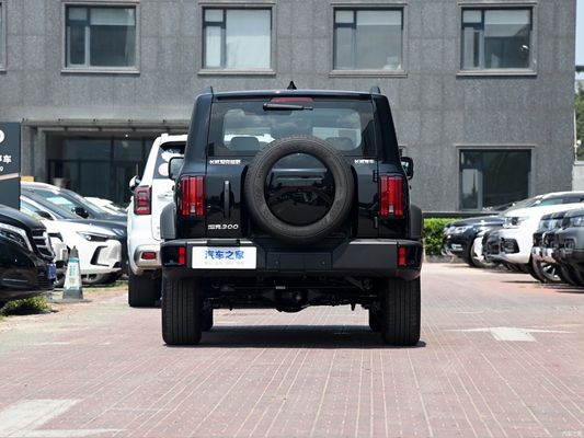 2024 Model Gwm Tank 300 2.0t Conqueror off-Road Fuel Car Customized for Rugged Terrain