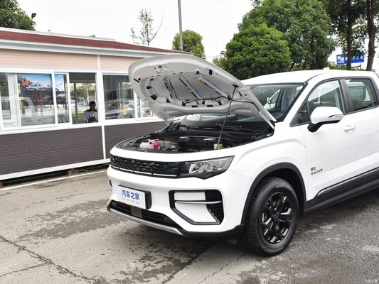 Electric Vehicle Pickup Radar Rd6 2023 410km Chuangye Online After-sales Service