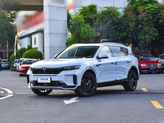 Voyah Free 2024 Electric Vehicles with AWD and Double Wishbone Independent Suspension