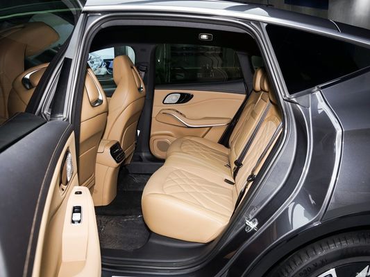 Rising Auto R7 2023 RWD Screen Master Electric Vehicle with Pure Electric Energy Type