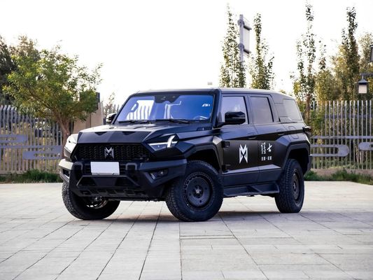 Brave Warrior Black Color Energy Car with Electromagnetic Braking System Manufactured