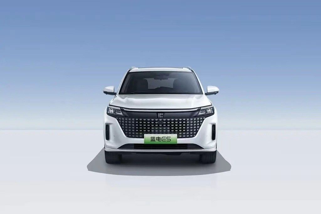 Landian E5 2024 Honor Edition 100km Automatic Luxury 5-Seater with Online Service