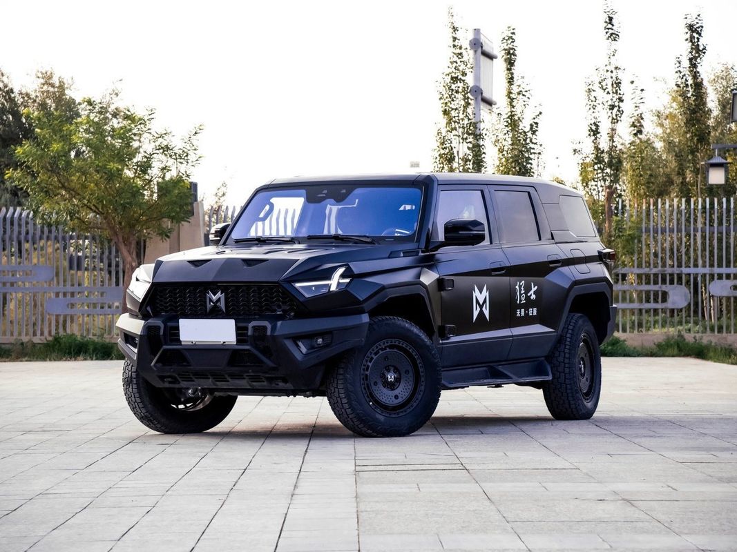 Brave Warrior Black Color Energy Car with Electromagnetic Braking System Manufactured