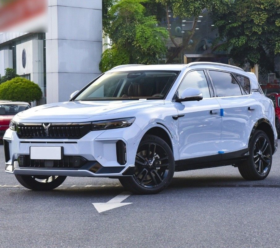 4905x1950x1645 Seats 5 Ultra-Long Range Energy Electric SUV Car in by Voyah Free 2024
