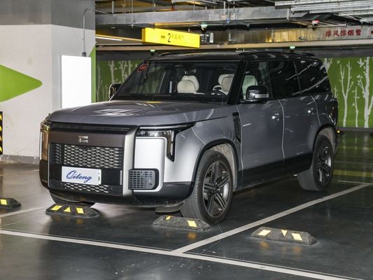 Closed Body Type Customization 2023 Enjoy Edition 6 Seats SUV